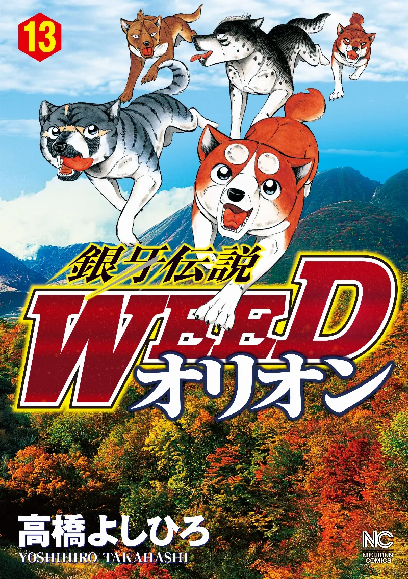Volume 13