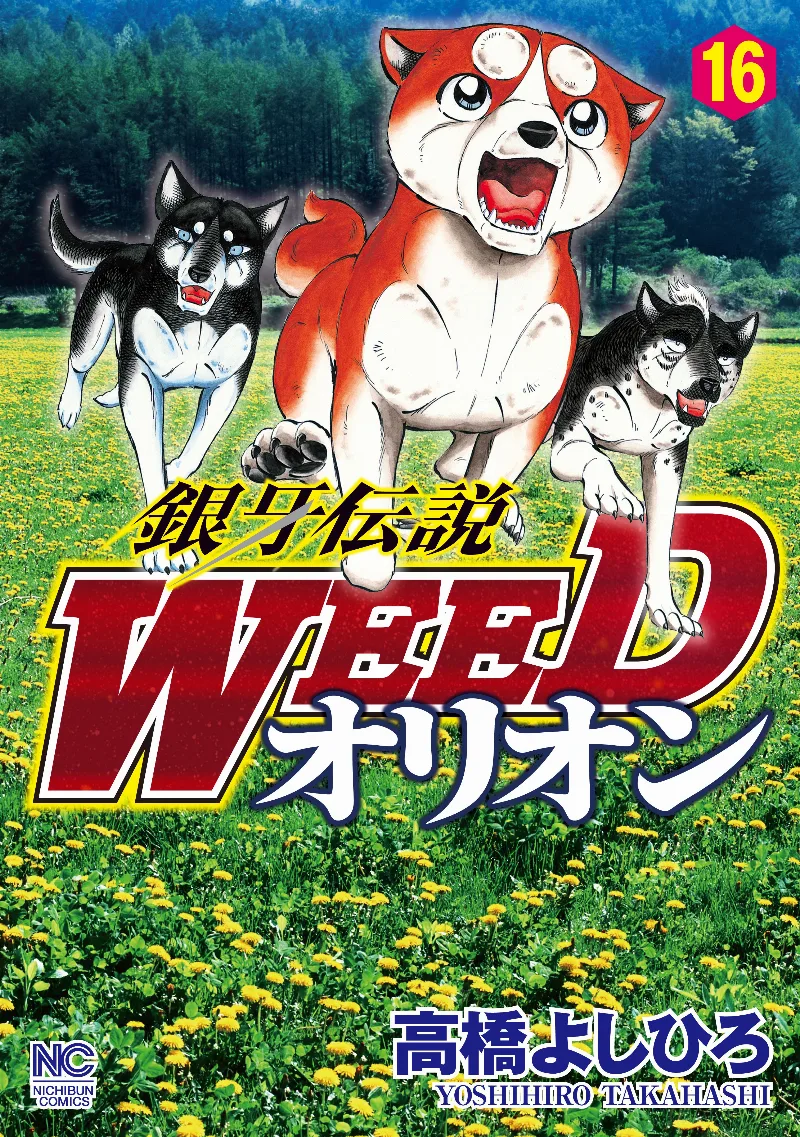 Volume 16