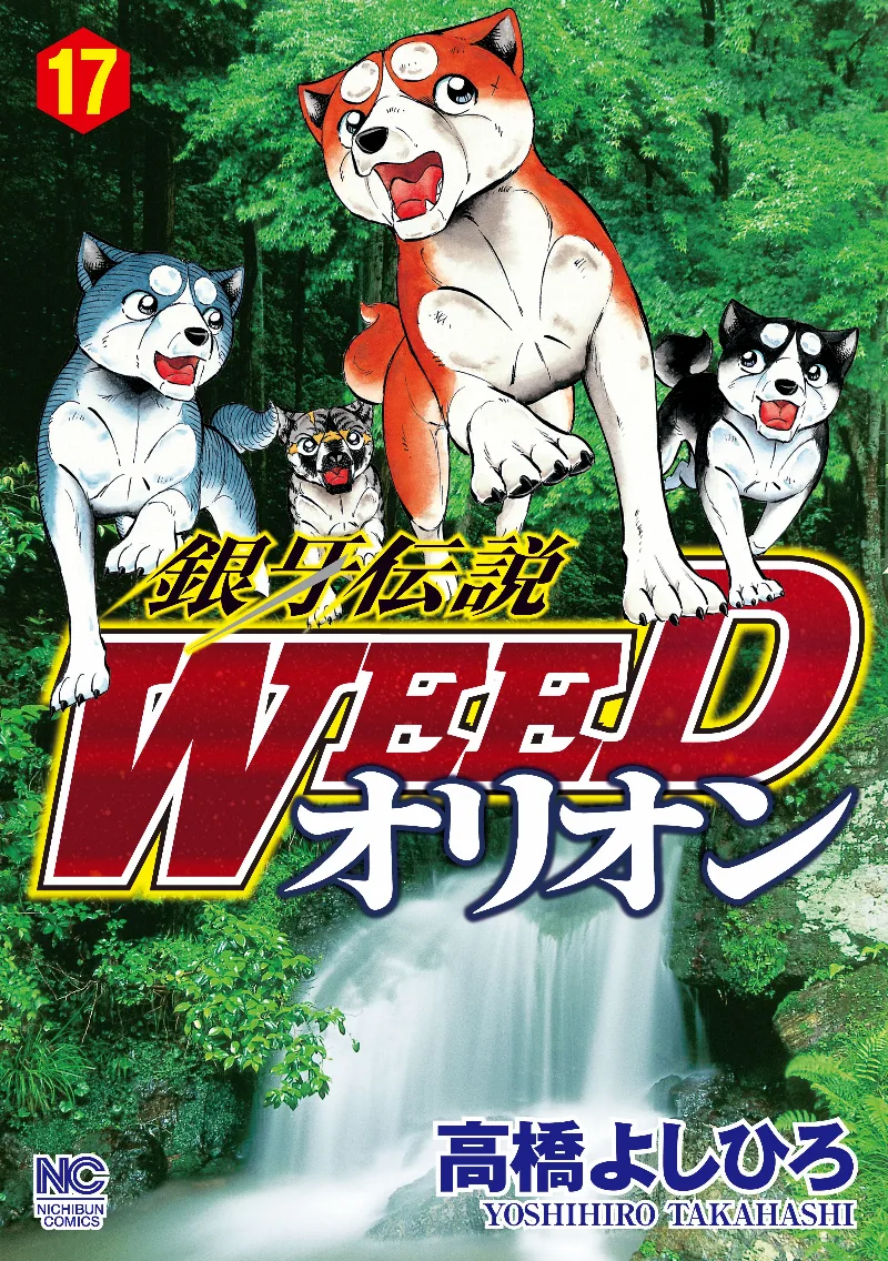 Volume 17