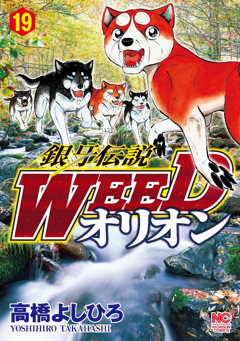 Volume 19