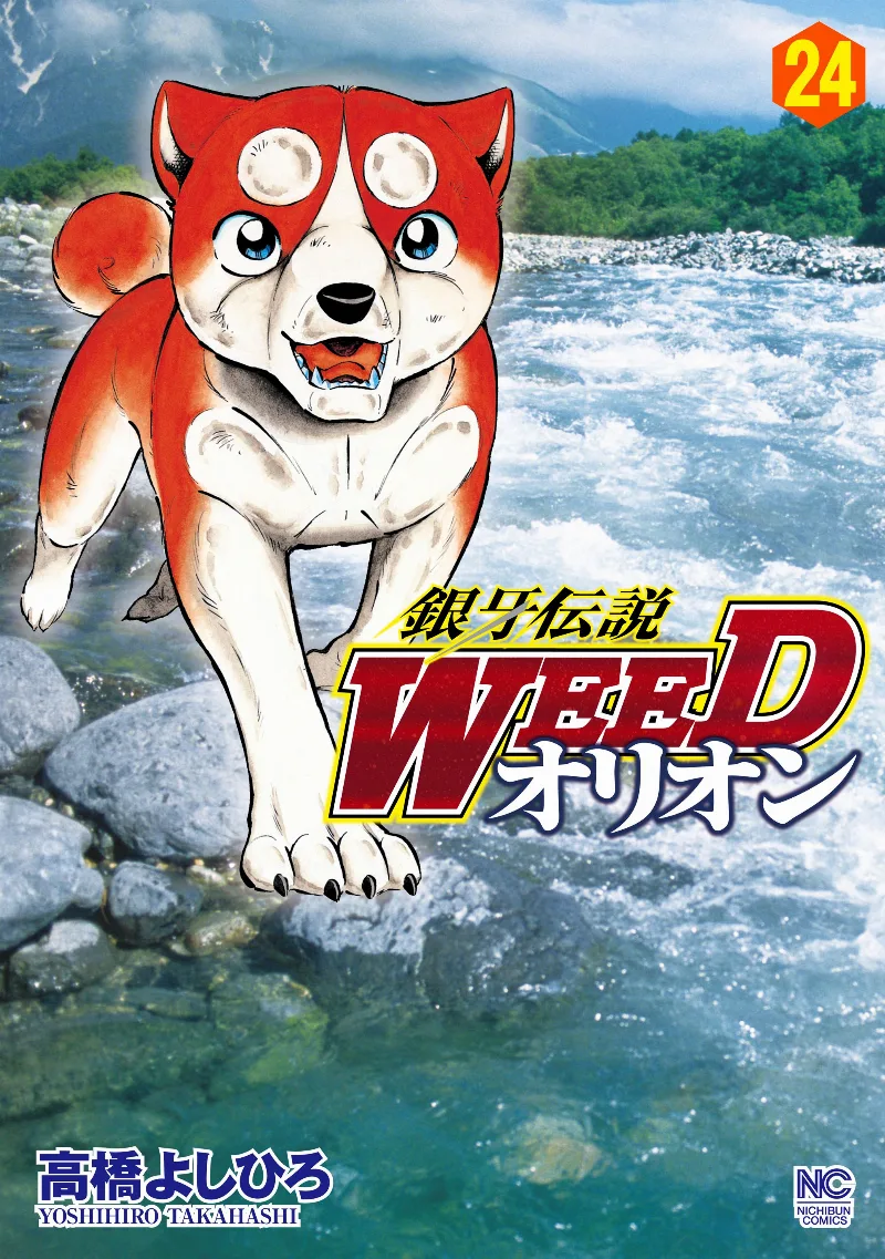 Volume 24