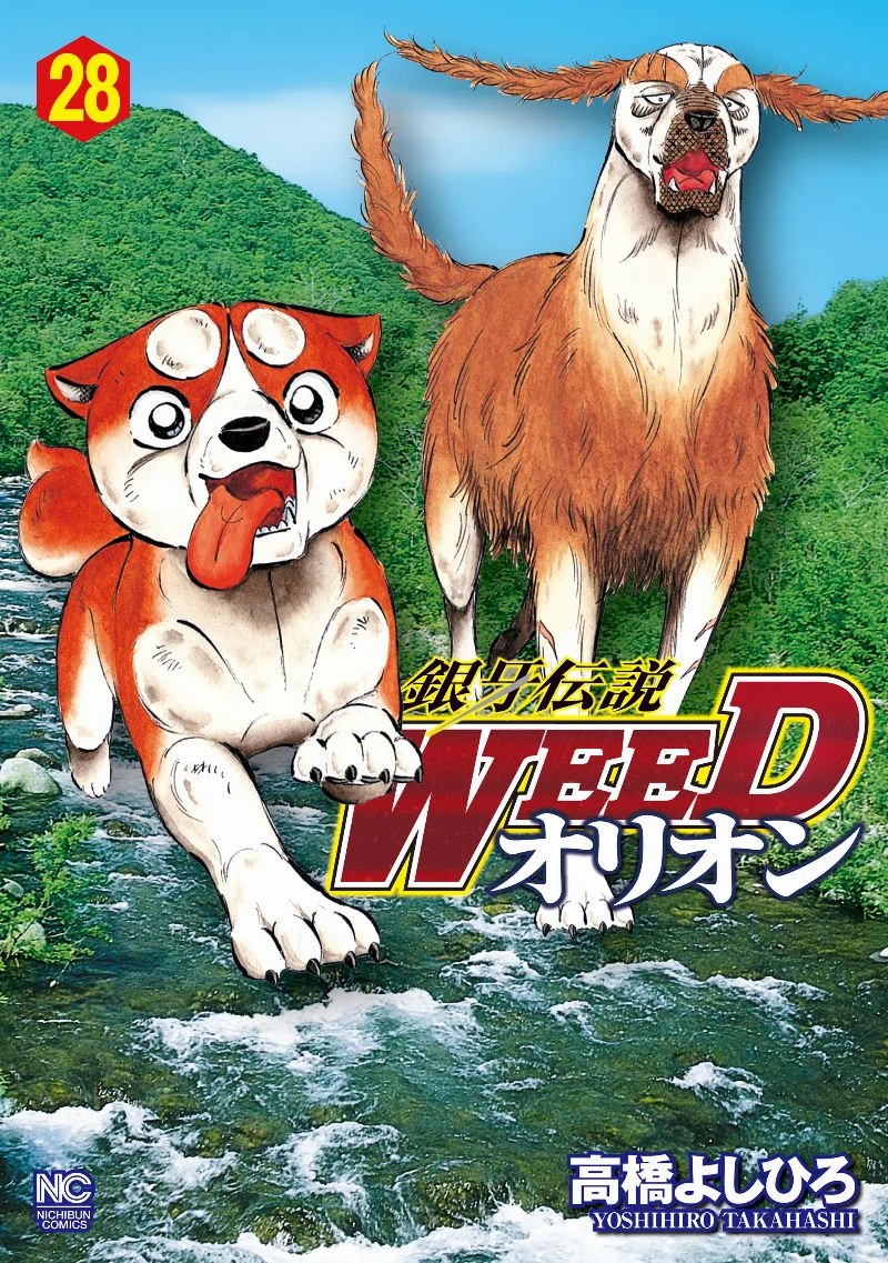 Volume 28