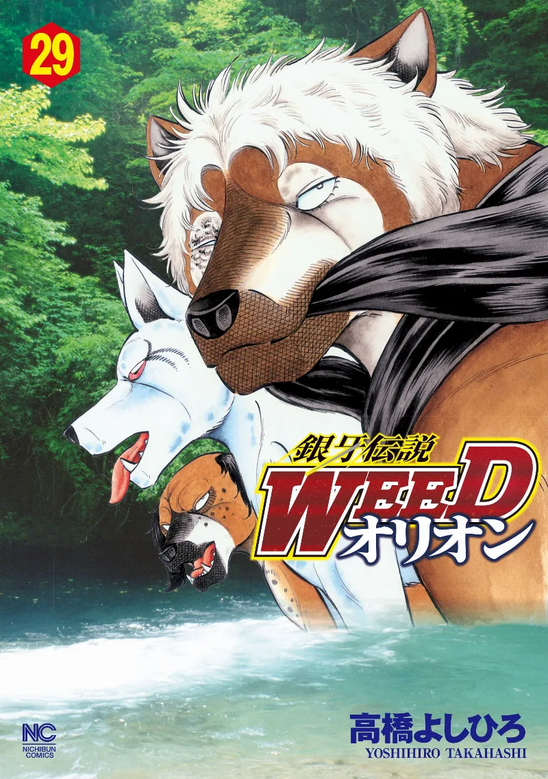 Volume 29