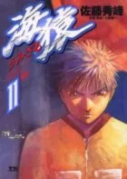 Volume 11