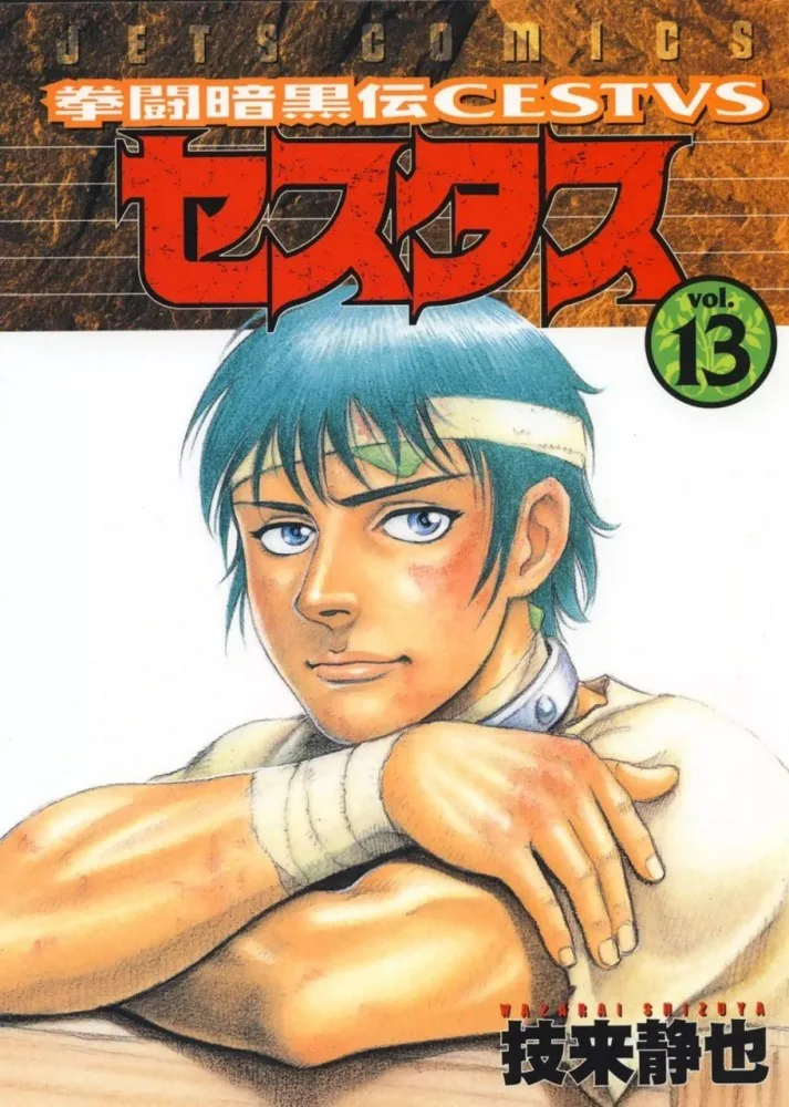 Volume 13