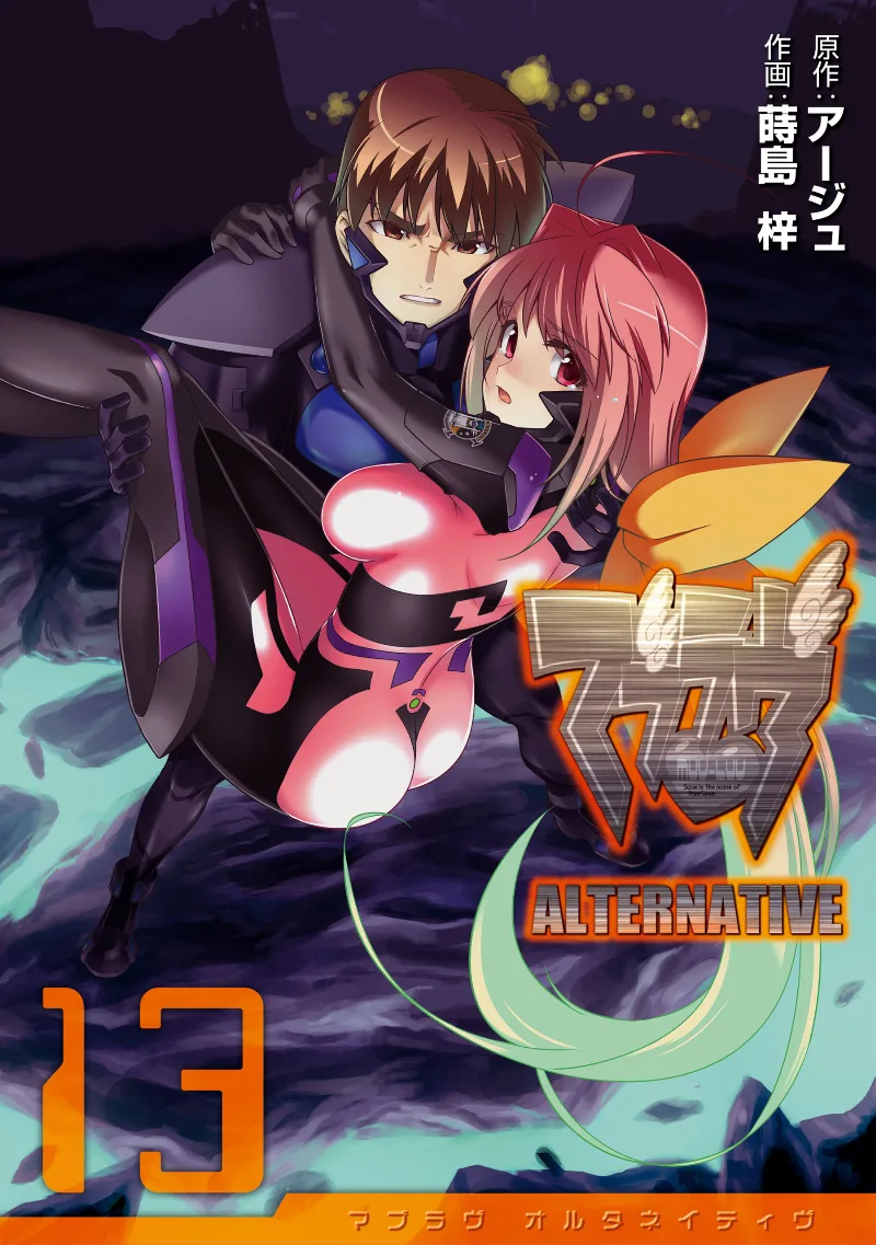 Volume 13