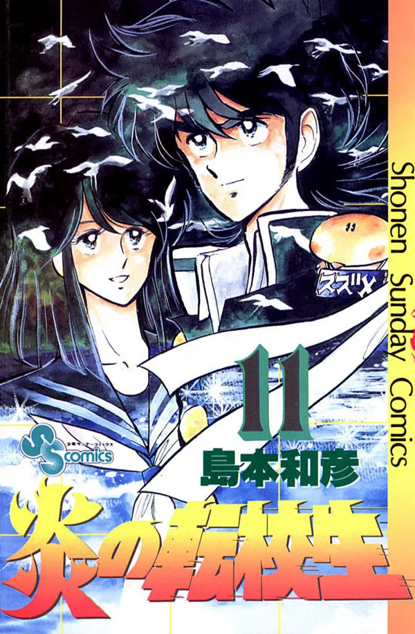 Volume 11