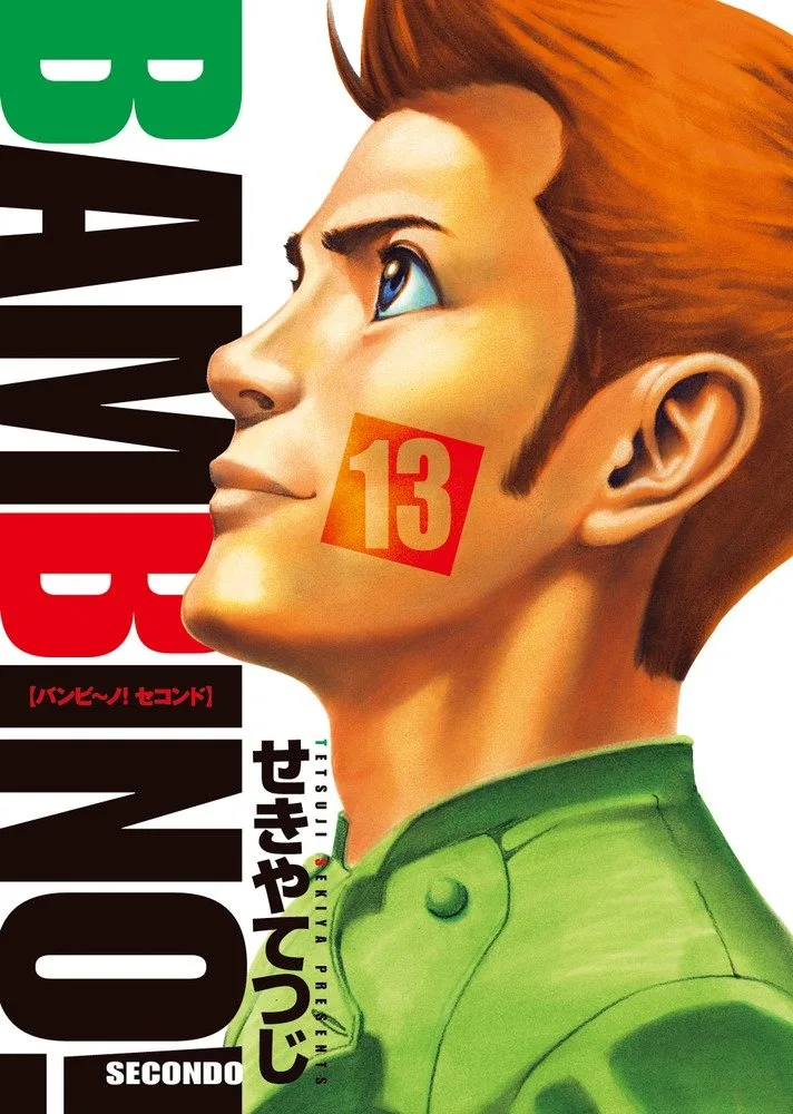 Volume 13