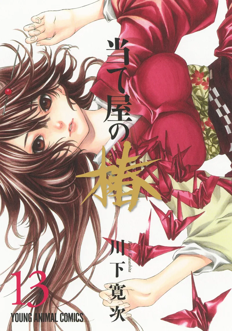 Volume 13
