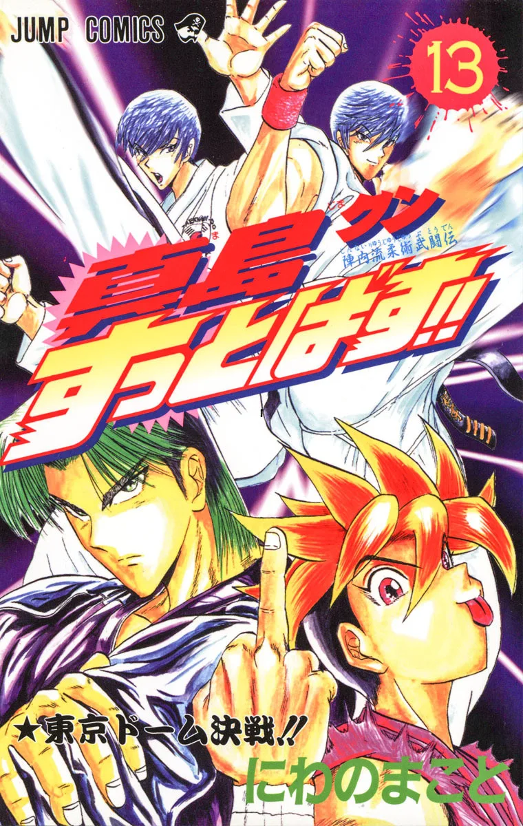 Volume 13