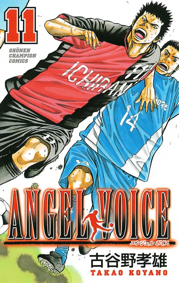 Volume 11