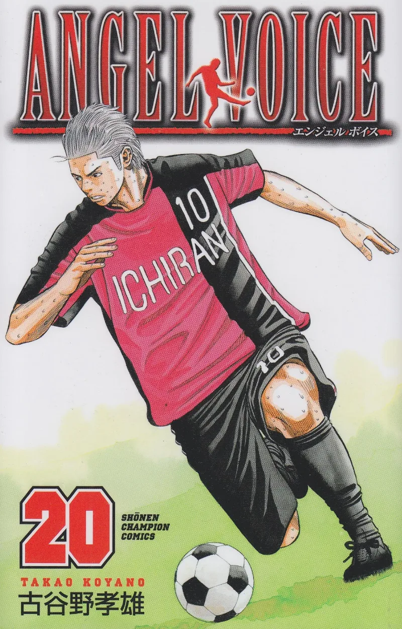 Volume 20