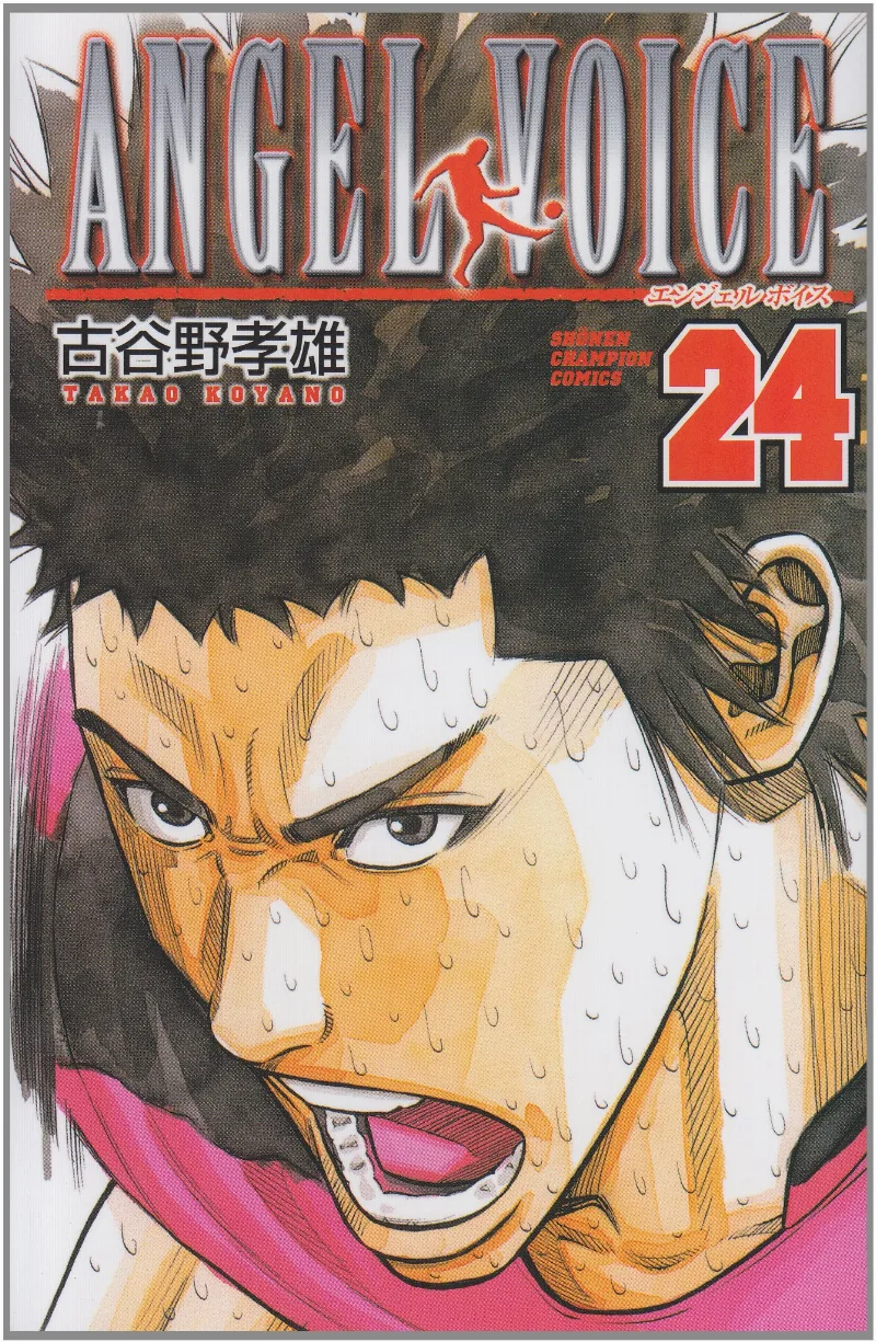 Volume 24