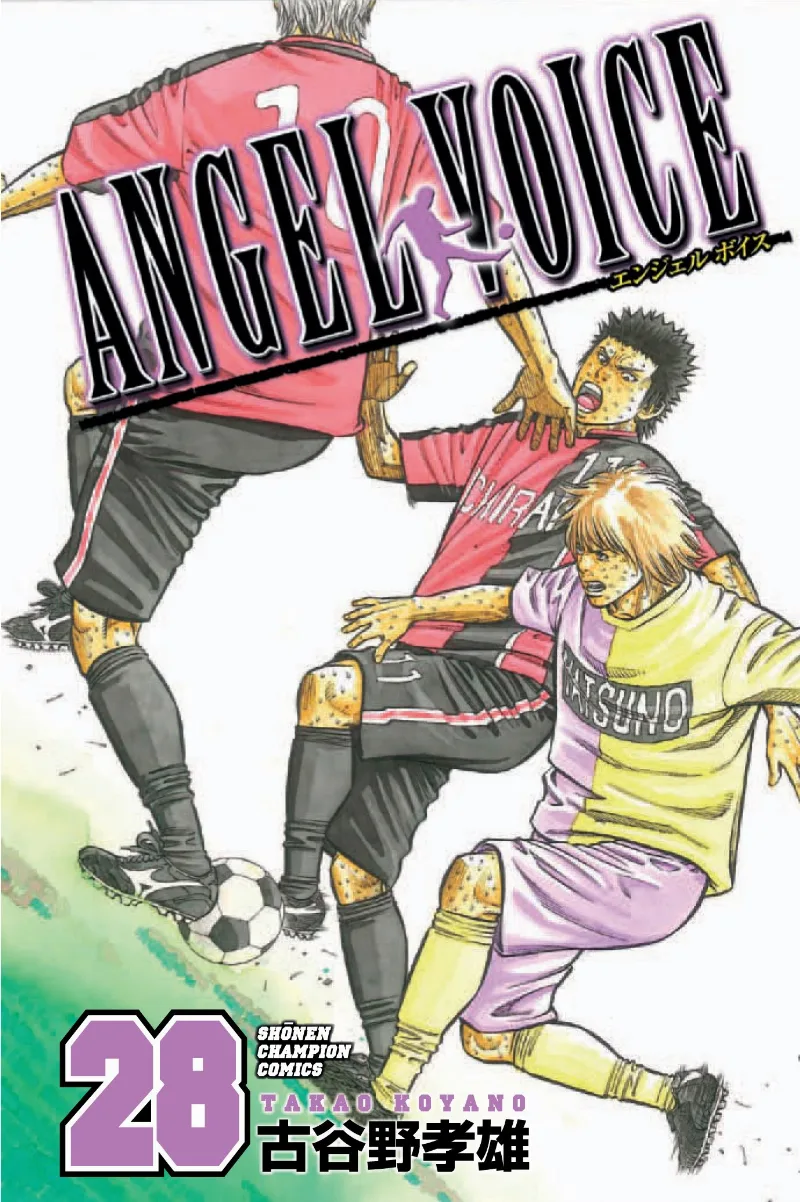 Volume 28
