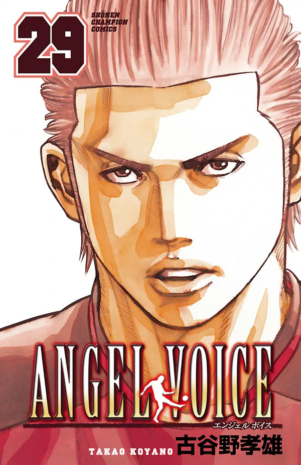 Volume 29