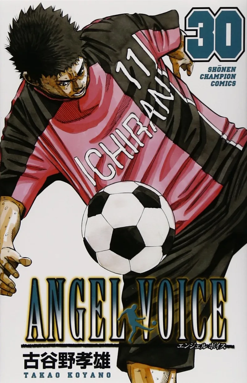 Volume 30