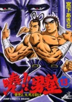 Volume 13