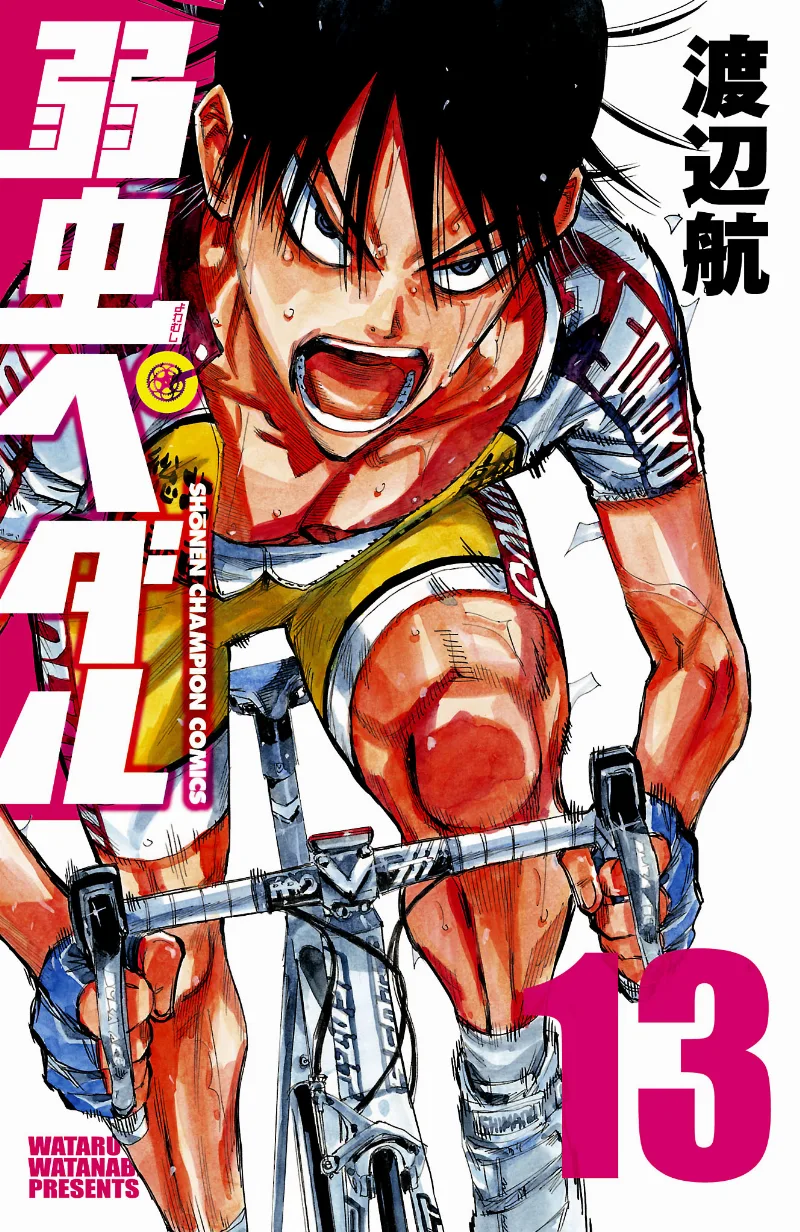 Volume 13
