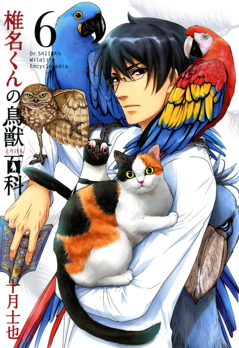 Volume 06