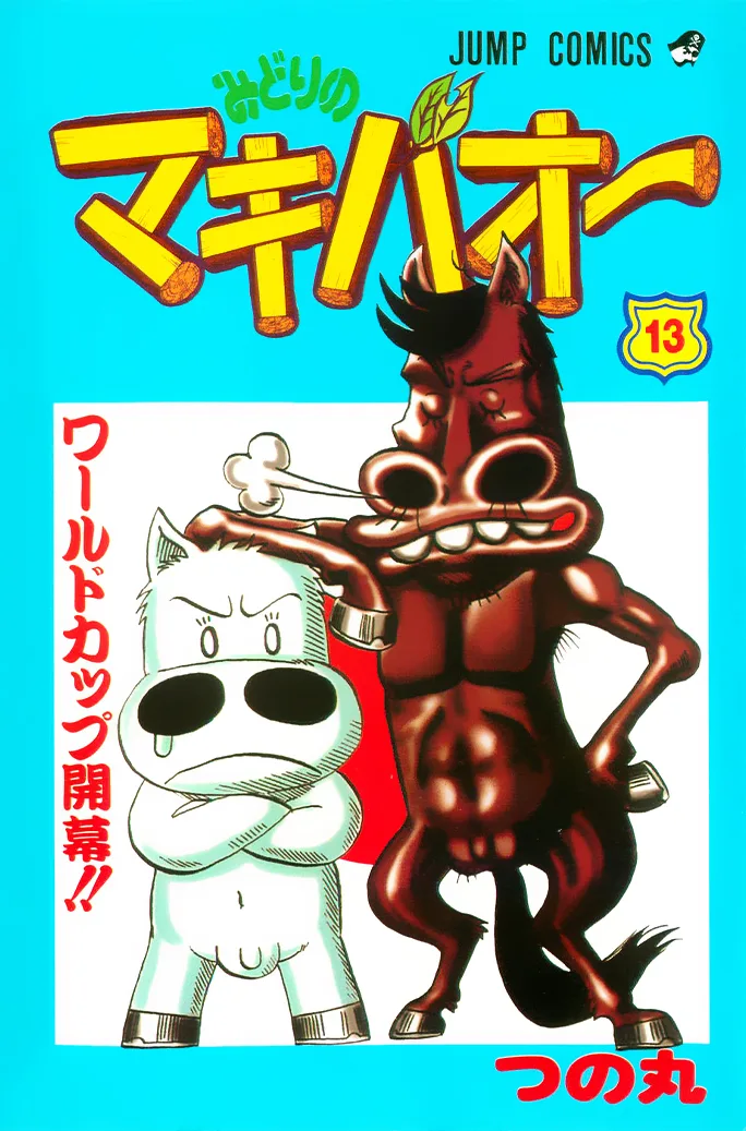 Volume 13