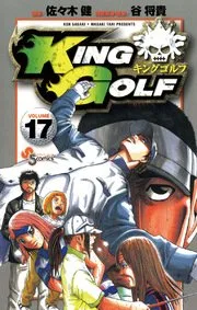 Volume 17
