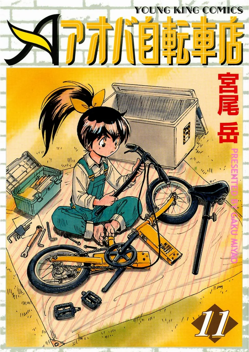 Volume 11