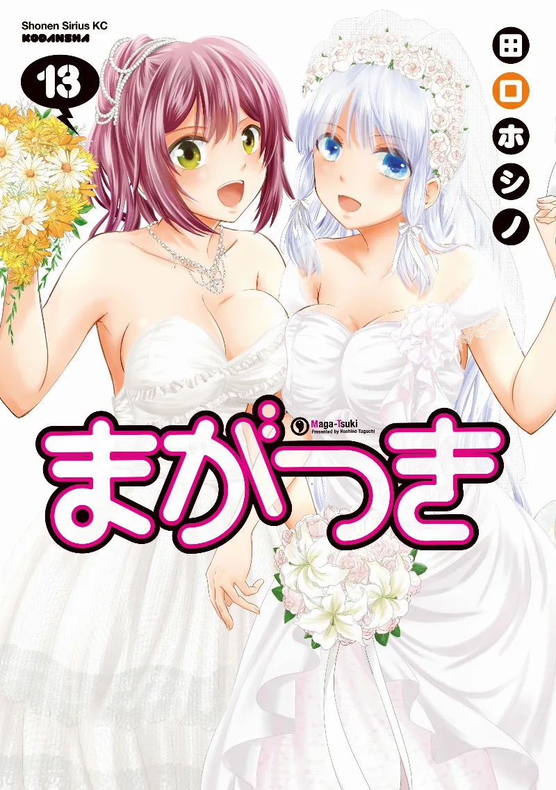 Volume 13
