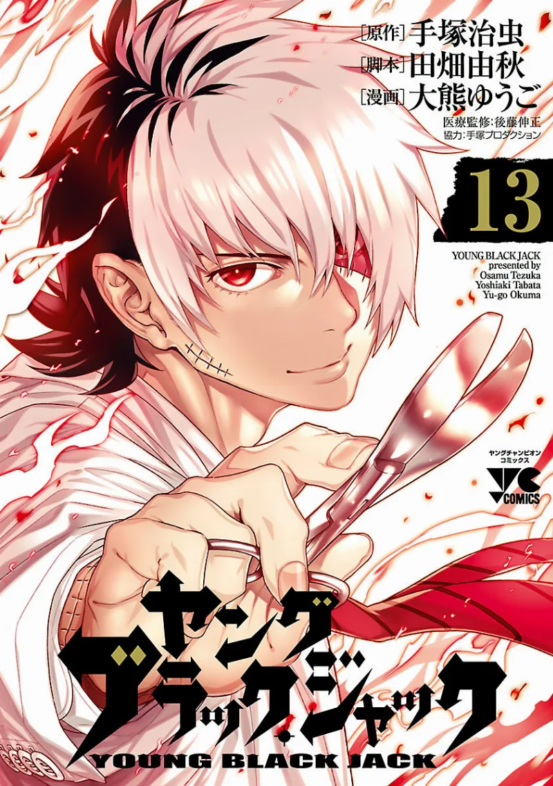 Volume 13