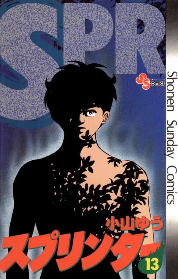 Volume 13