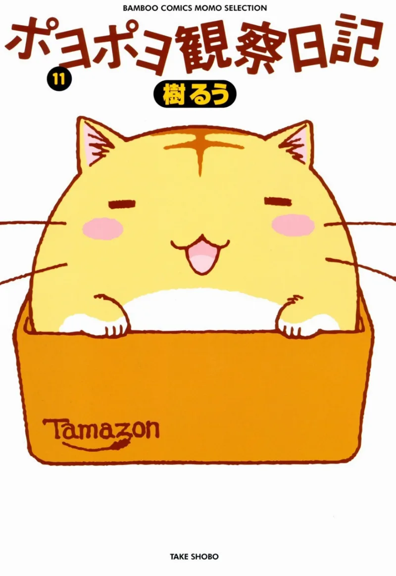 Volume 11