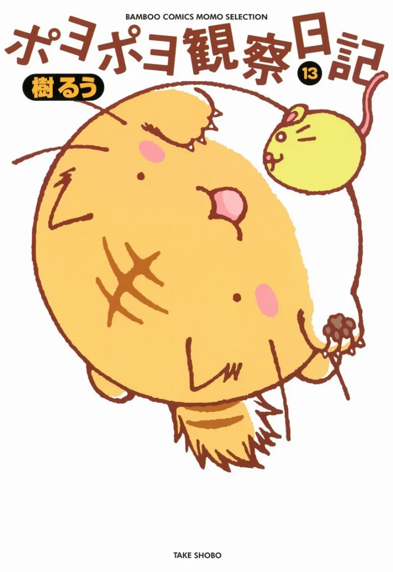 Volume 13