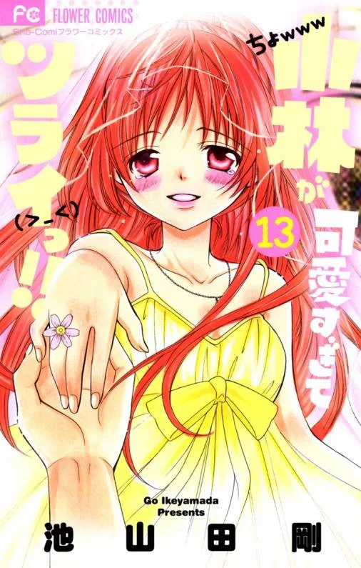 Volume 13