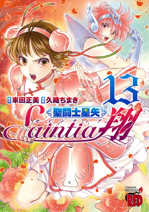 Volume 13