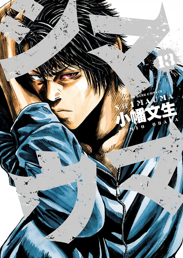 Volume 13