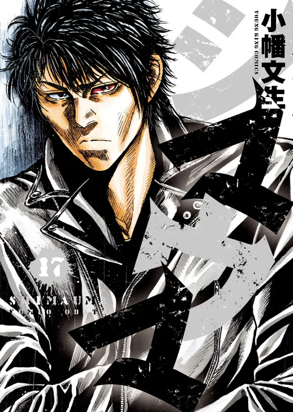 Volume 17