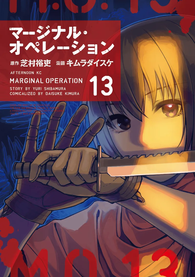 Volume 13