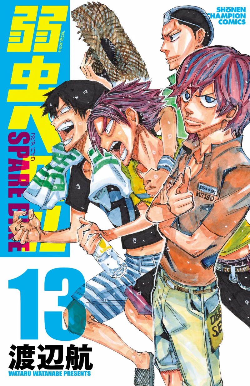 Volume 13