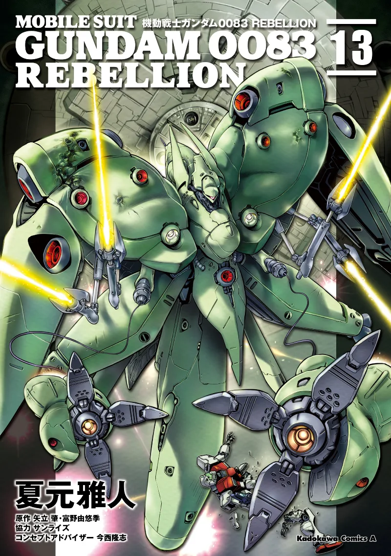 Volume 13