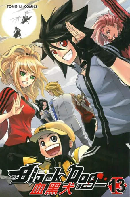 Volume 13