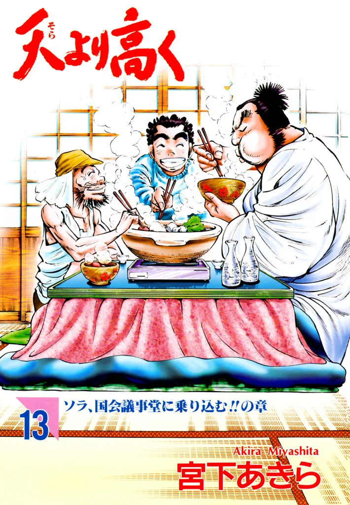 Volume 13