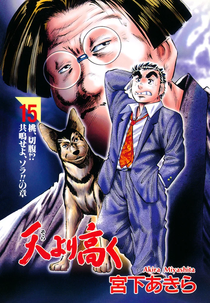 Volume 15