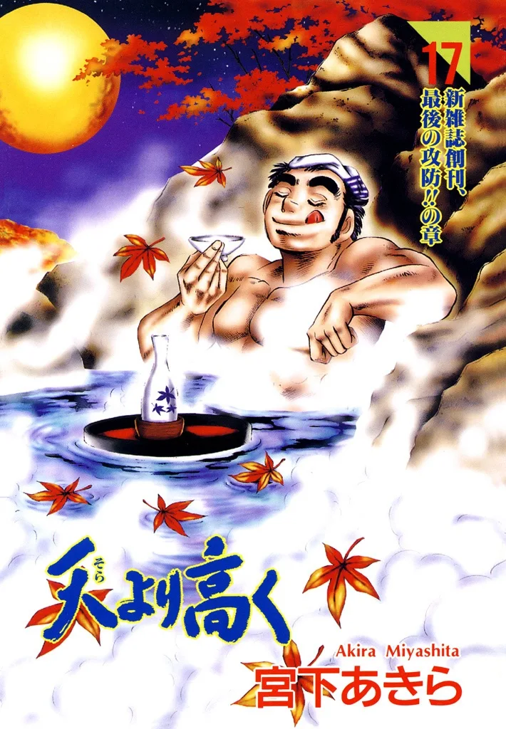 Volume 17