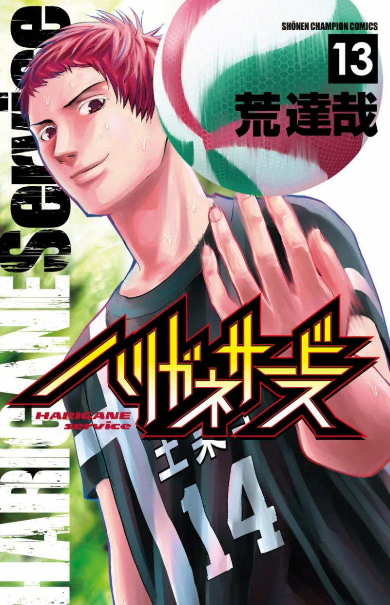 Volume 13