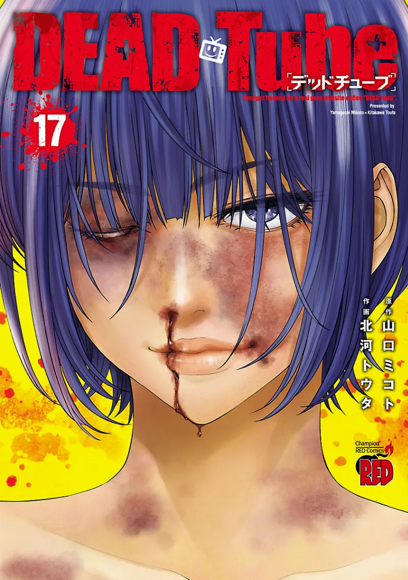 Volume 17