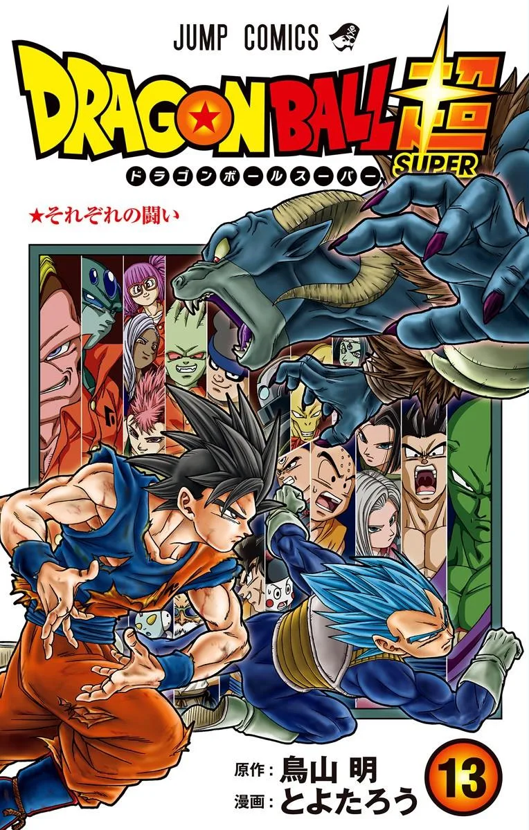 Volume 13