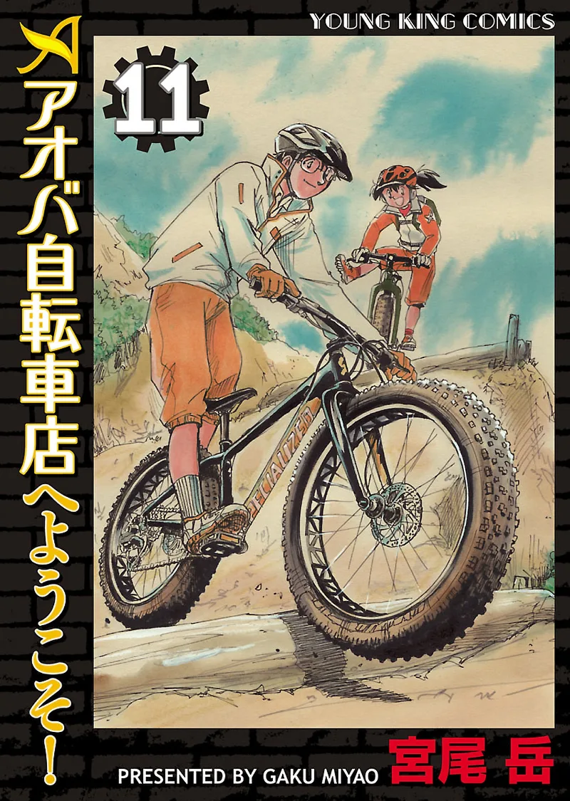 Volume 11