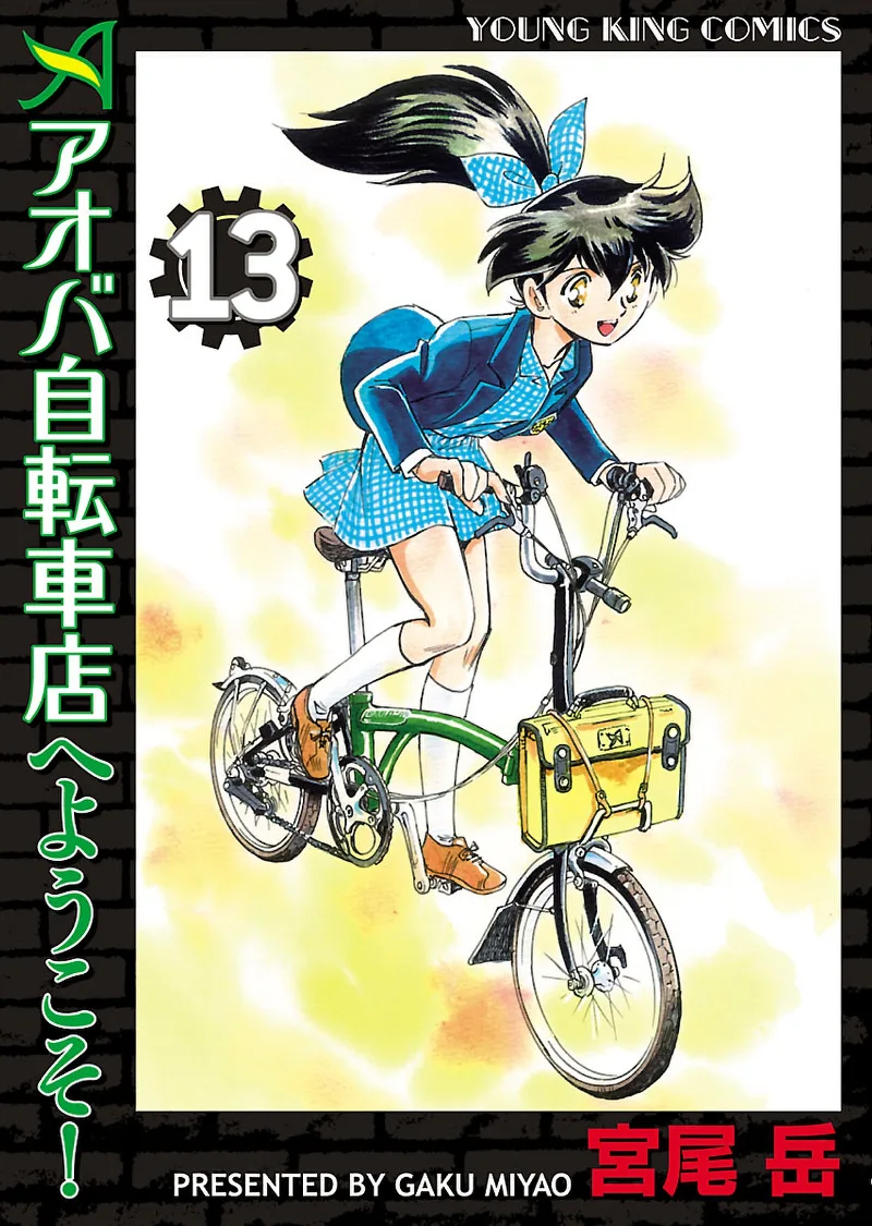 Volume 13