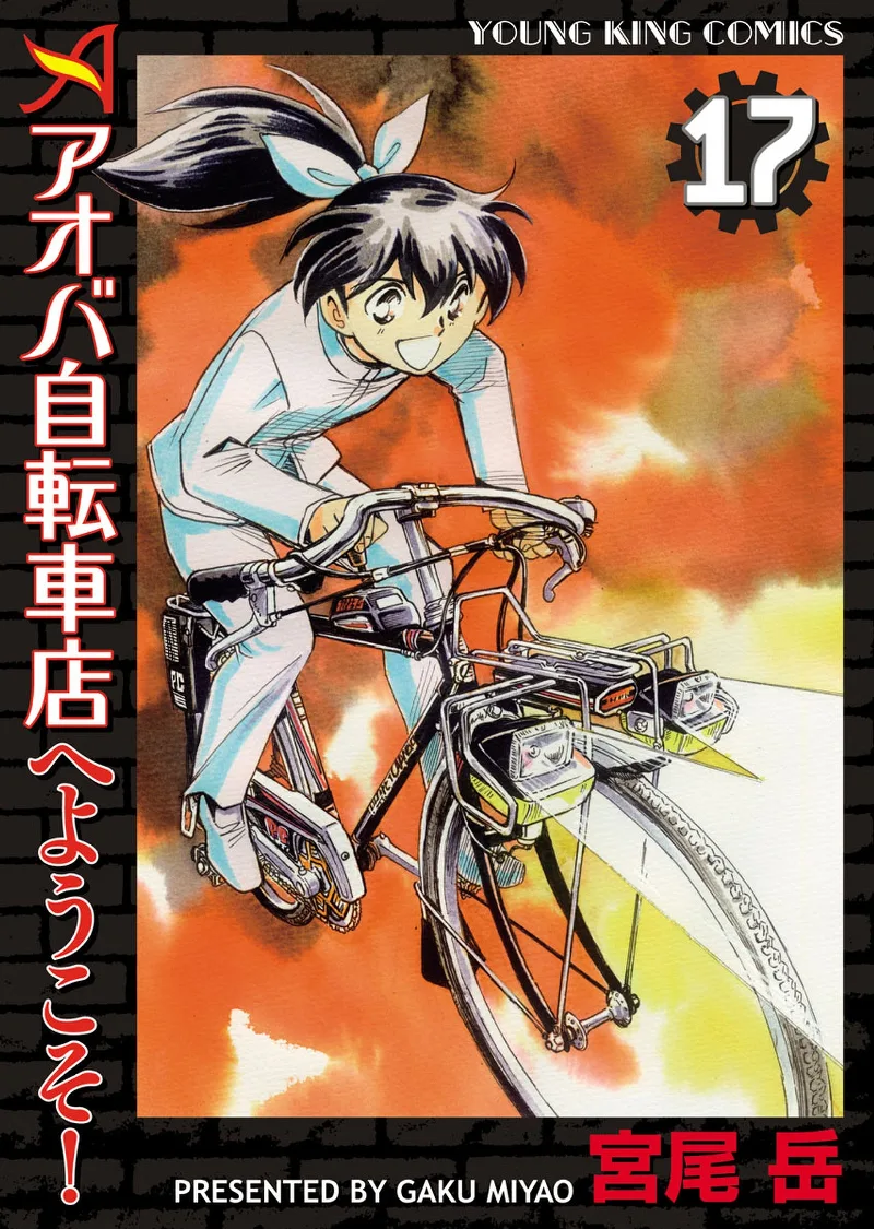 Volume 17