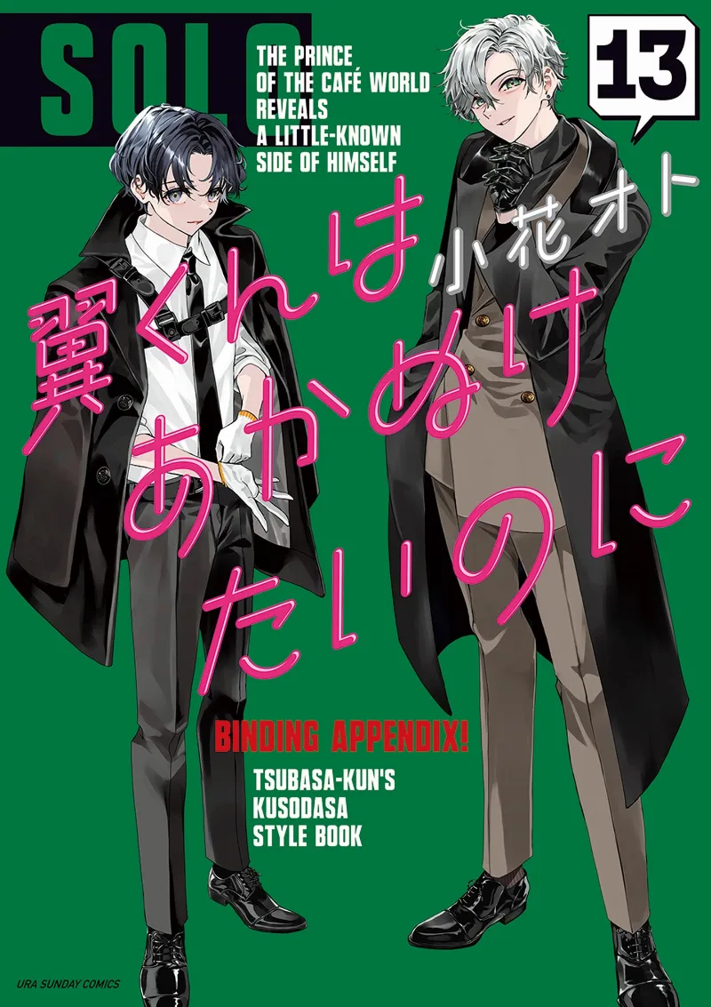 Volume 13