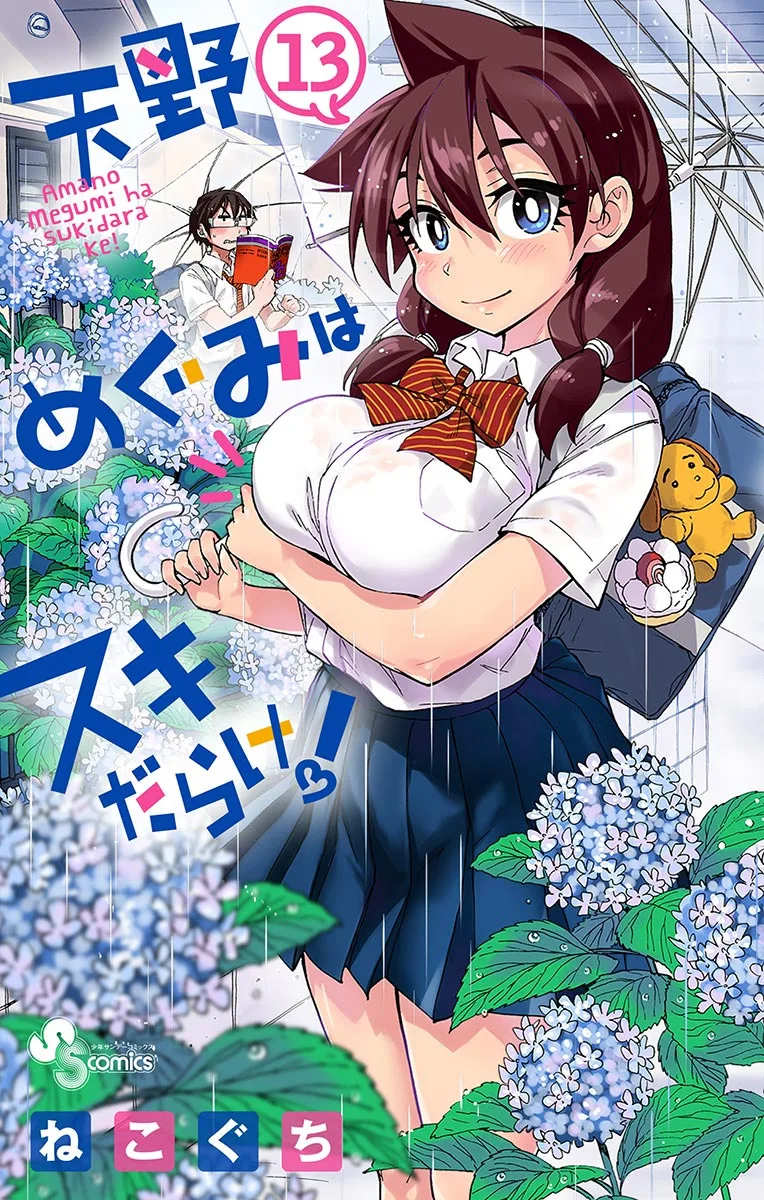 Volume 13
